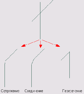    ArchiCAD 8
