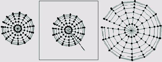   ArchiCAD 8
