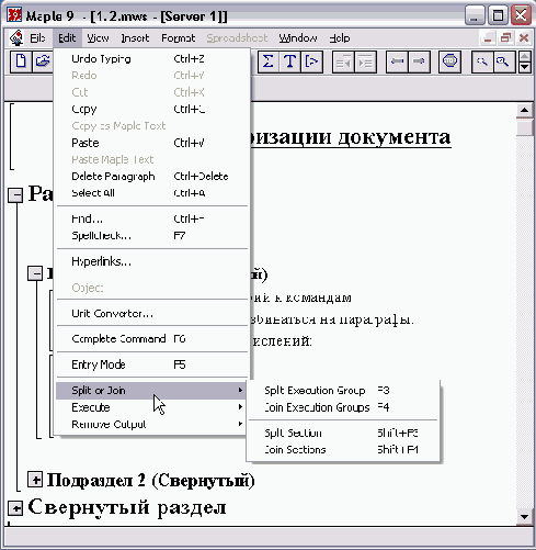    Maple 9