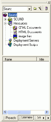 Web   Macromedia HOMESITE
