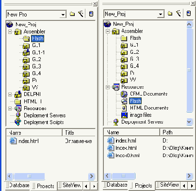Web   Macromedia HOMESITE

