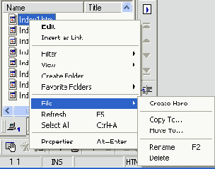 Иллюстрированный самоучитель по Macromedia HOMESITE