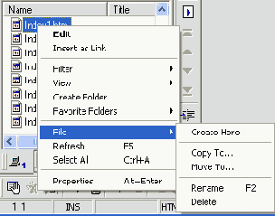 Web дизайн с Macromedia HOMESITE
