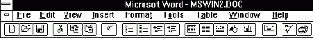   Microsoft Windows 3.1   - 2
